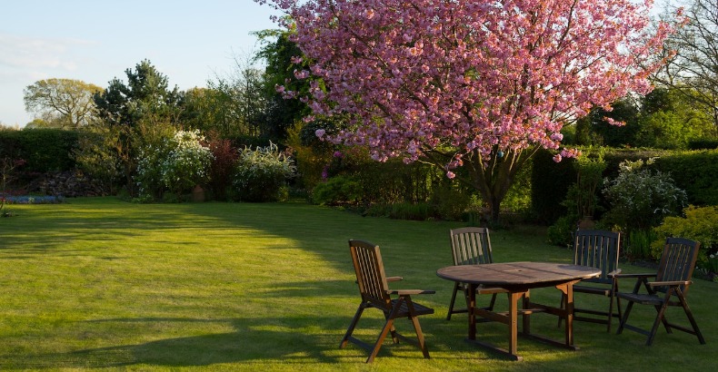 Tips voor het maken van een luxe tuin bij je vakantiehuis