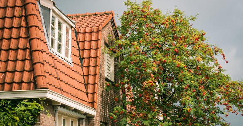 Waarom een prefab mantelzorgwoning de ideale oplossing is voor moderne zorg aan huis