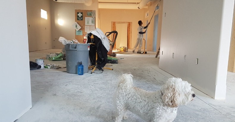 Comfortabeler vakantiehuis met slimme materiaalkeuzes