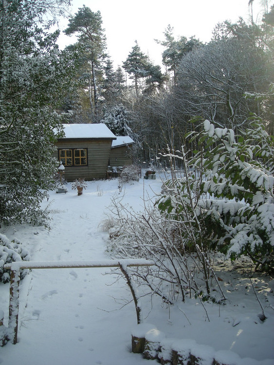 Vakantiehuis in Winterswijk-Ratum te huur